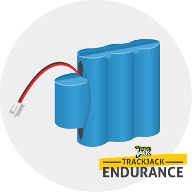 Endurance 2 battery